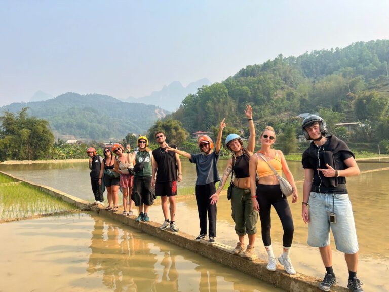 rice fields near du gia