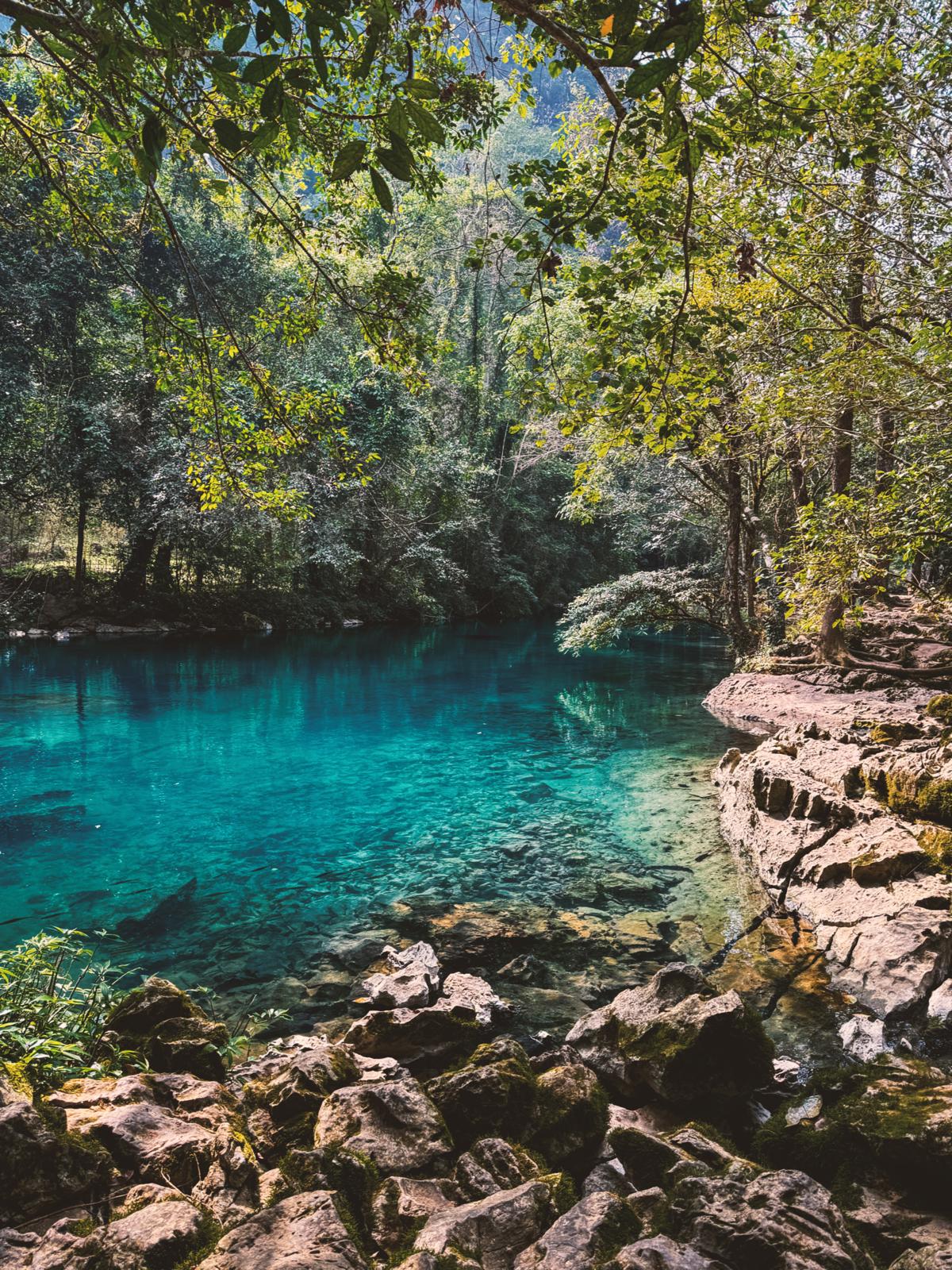 blue stream with rocks with trees
